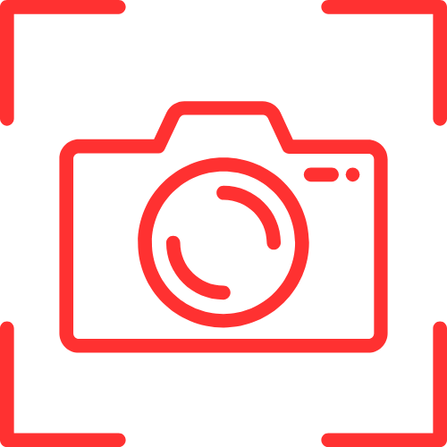 Free Shemle Videos